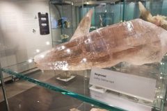 Museum im Lavanthaus 2024